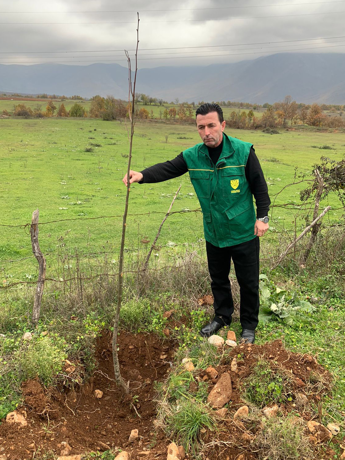 Struktura e pyjeve në bashkinë Tropojë mbollën 500 fidanë llojit Bli, në aksin rrugor Dubrav-Cërrnic