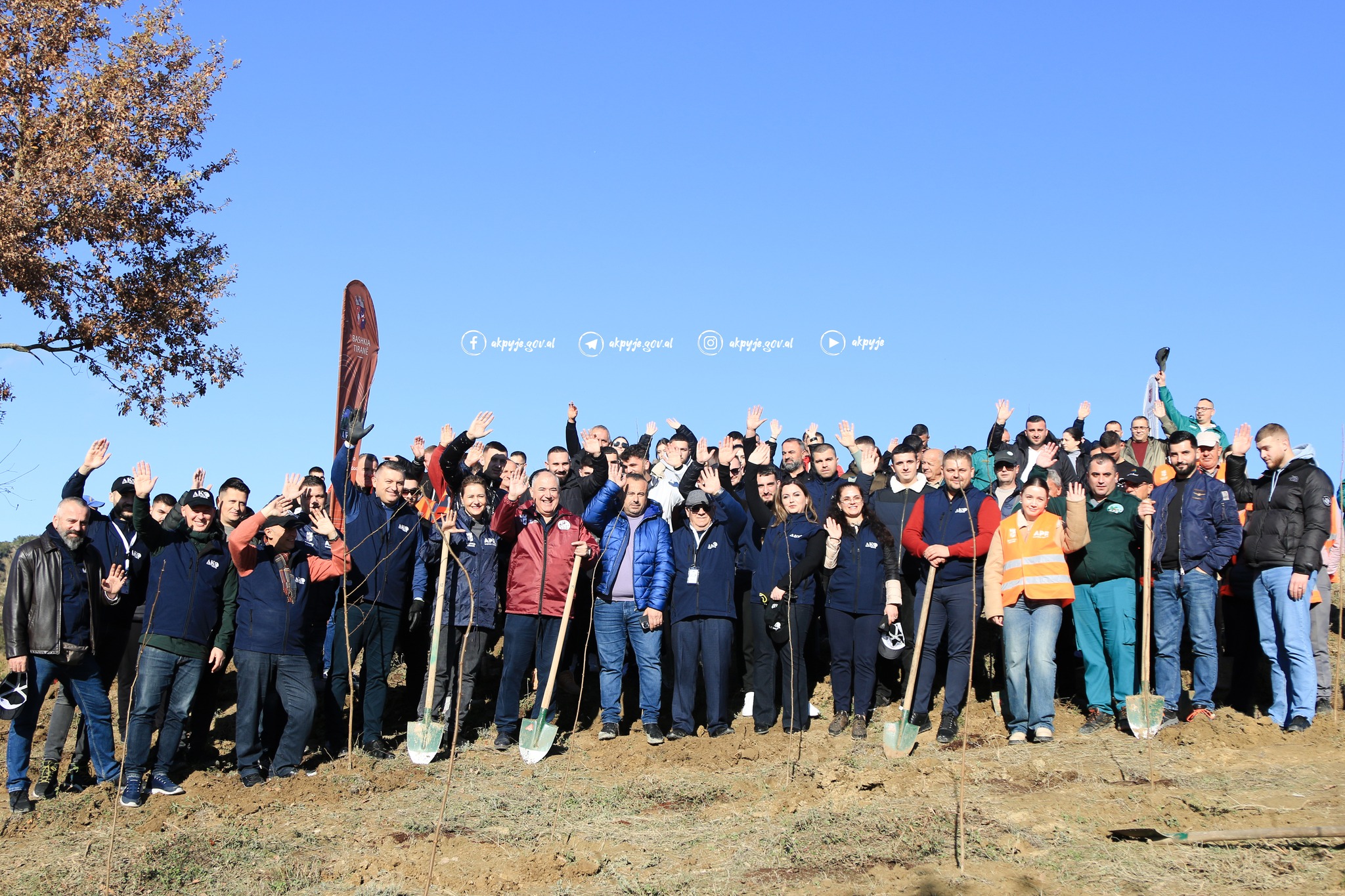 Agjencia Kombëtare e Pyjeve në koordinim të plotë me Bashkinë Tiranë dhe APR filluan mbjelljen e 37500 fidanëve të planifikuara në ekonominë pyjore Baldushk