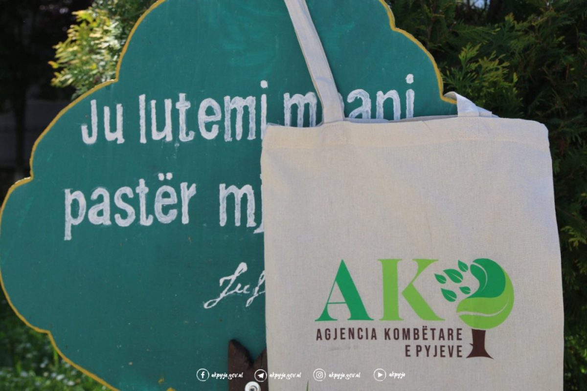 FotoALBUM i aktiviteteve të zhvilluara në kuadër të ndërgjegjësimit dhe sensibilizimit rreth “Pyjeve dhe rëndësisë së tyre” në bashkinë Korçë