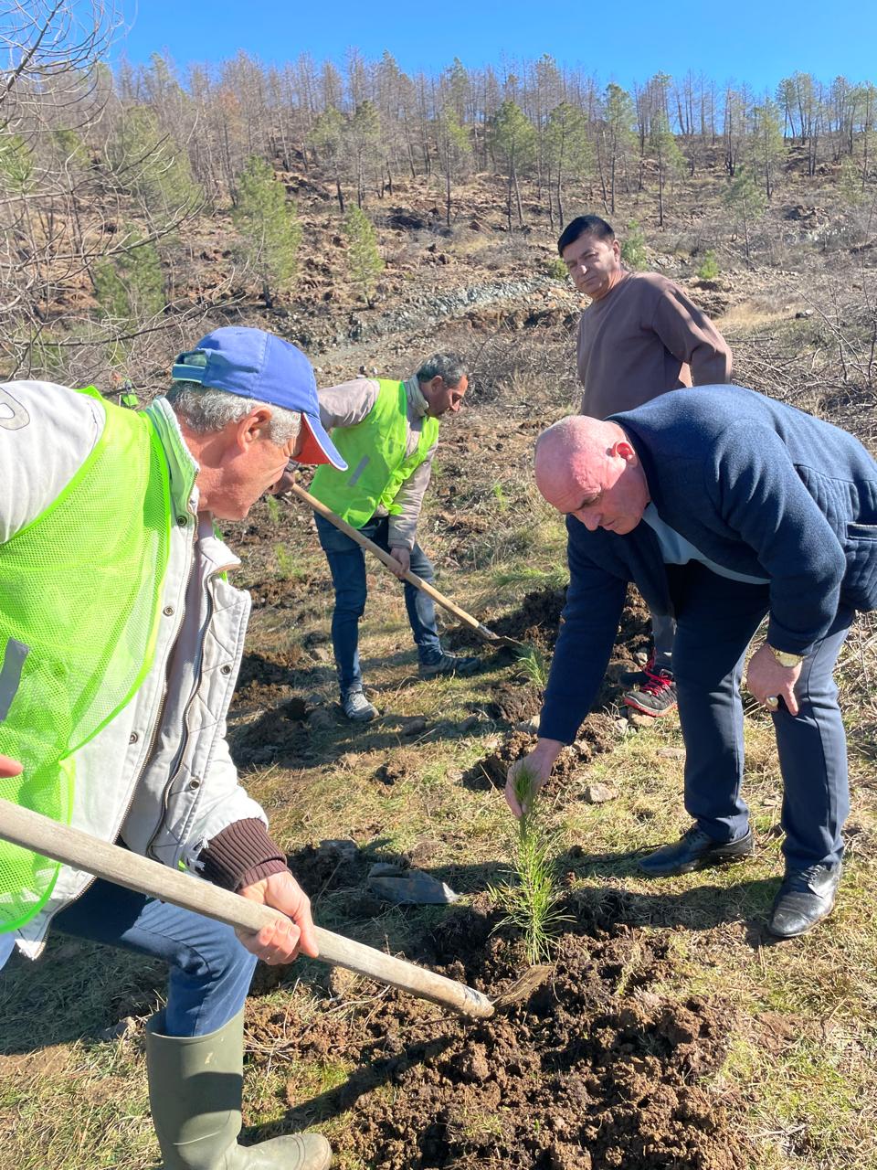 Në kuadër të muajve të pyllëzimeve, në ekonominë pyjore Gjadër-Nelë u mbollën 300 fidanë