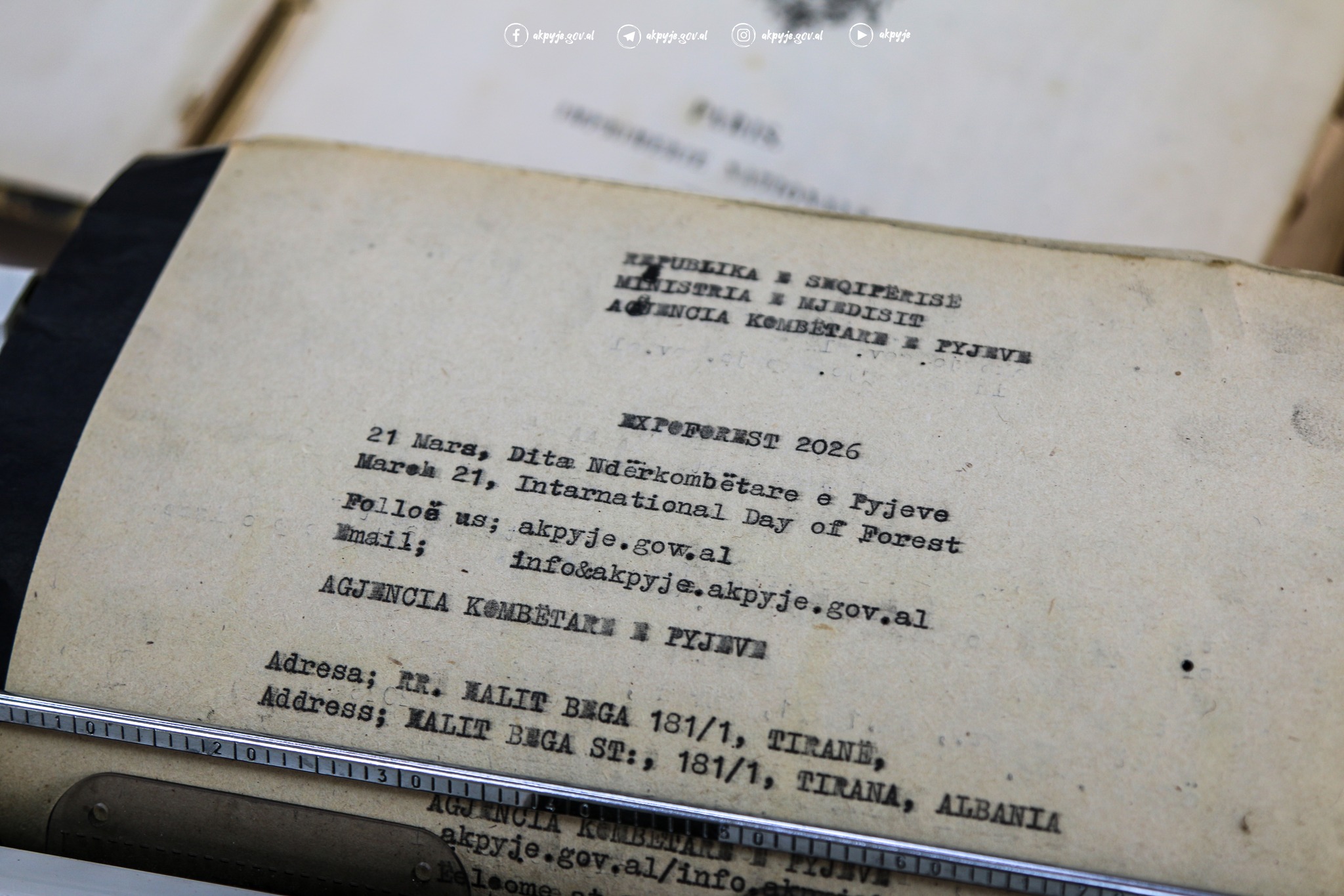 FOTOalbum EXPO Forest 2026