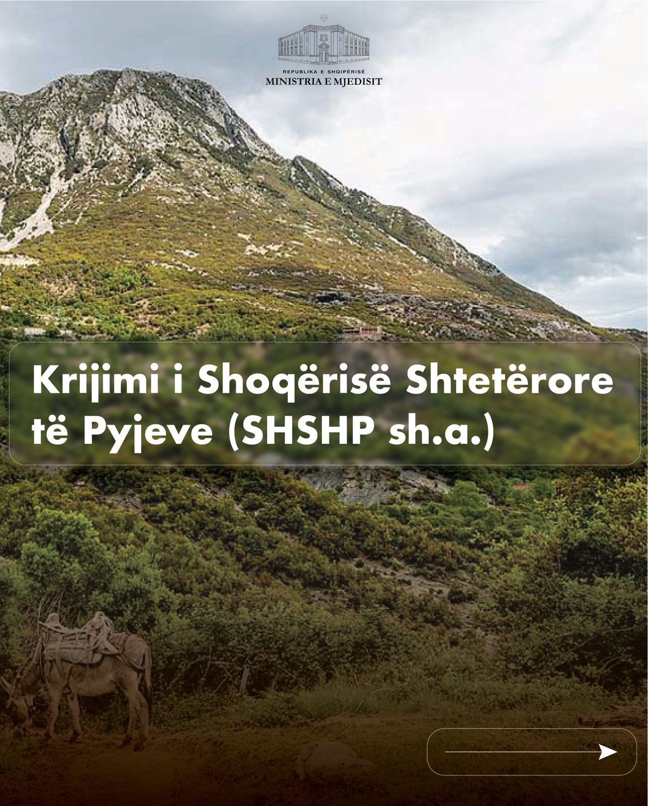 Është publikuar për konsultim projektligji për krijimin e Shoqërisë Shtetërore të Pyjeve SHSHP, si një ndërmarrje me kapital 100% shtetëror që do të marrë përgjegjësinë për administrimin, zhvillimin dhe shfrytëzimin e qëndrueshëm të pasurisë sonë pyjore